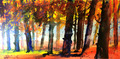 Waldlicht