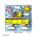 Sky cab